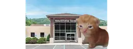 rehabbert emote