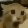 uatafoque emote