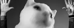 Cinejah emote