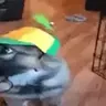 WHIMSYDOG emote