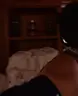 cinnaarrive emote