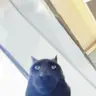 lilbro emote