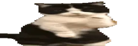 widetime7 emote