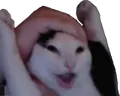 oohaw emote