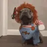 glucky emote
