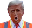 Troomp emote