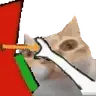 ermSlots emote