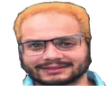 emoneyWings emote