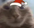 muh emote
