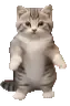 CatTime5 emote
