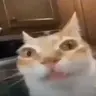 erm emote