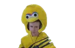 Bird emote