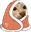 otagCozy