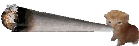 zazabert emote