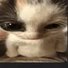 cho emote