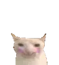 Docare emote