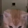 Aura emote