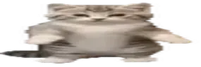 DANS emote