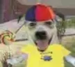 DORKUNIT emote