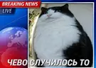 чево emote