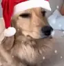 0-0 emote