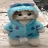 pipi emote