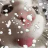 :b emote