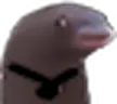 WWWWaiting emote