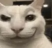 Smirk emote