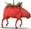 Pferdbeere emote