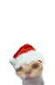 er emote
