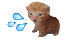 CatTuah