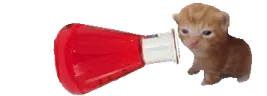 red40bert emote