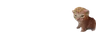 drugbustbert