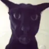 larry emote