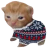 Robert emote