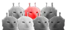 OneGlorped emote