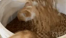 HisGreedWillConsumeHim