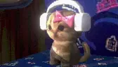catVibe emote