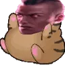 CHONK emote