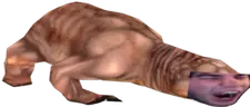 Kretoszczur emote