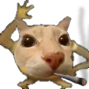 doseporro