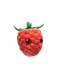 raspberry