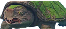 wideTerry emote