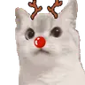 Nope emote