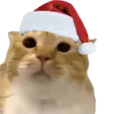 seventv_01JE41D8KRQ3CRRSGR0JGE1FJY