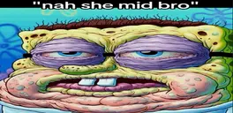 MIDBRO