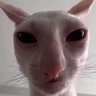 James emote