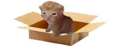HomelessBert emote
