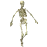 !boost emote
